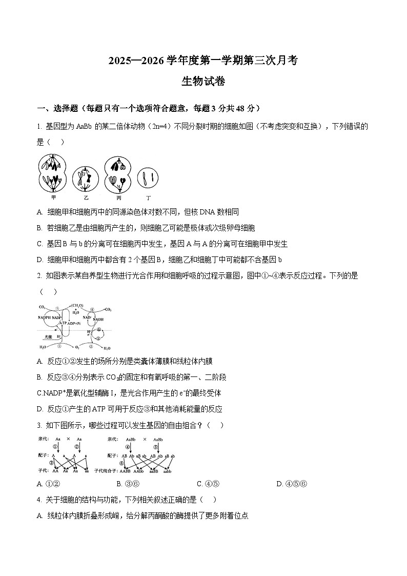 安徽省淮北市重点高中2026届高三上学期第三次月考 生物试卷（含答案）第1页