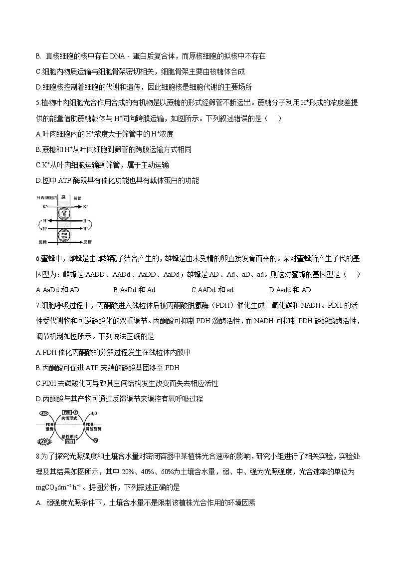 安徽省淮北市重点高中2026届高三上学期第三次月考 生物试卷（含答案）第2页
