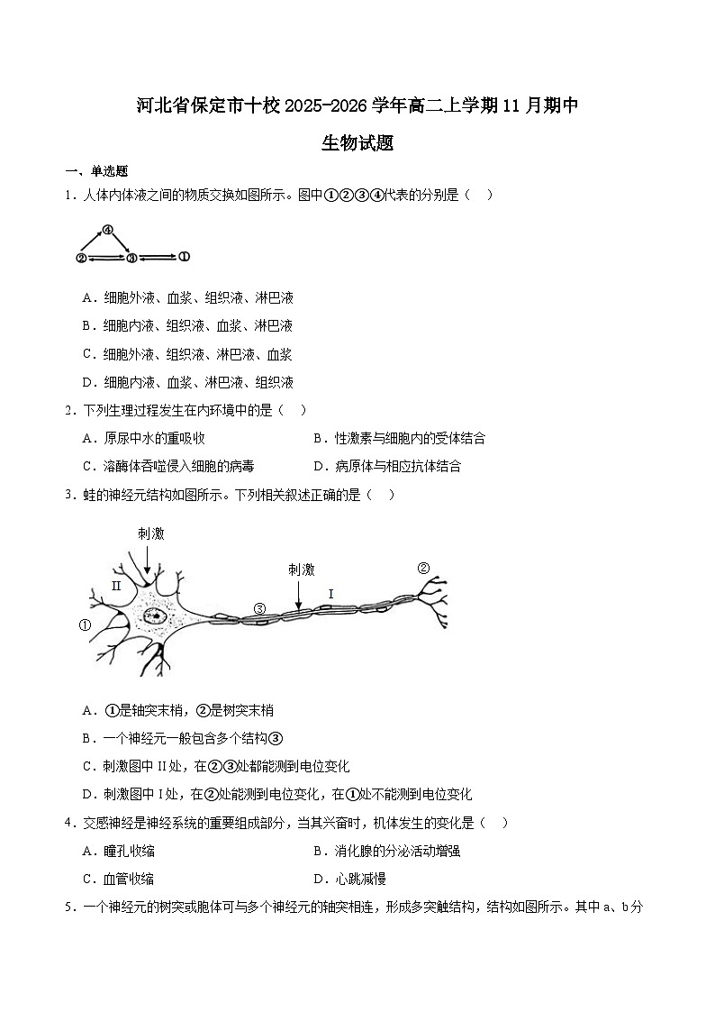 河北省保定市十校2025-2026学年高二上学期期中考试生物试题（Word版附答案）第1页