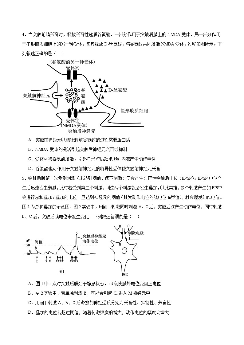 河南省郑州市十校2025-2026学年高二上学期11月期中联考生物试题（Word版附答案）第2页