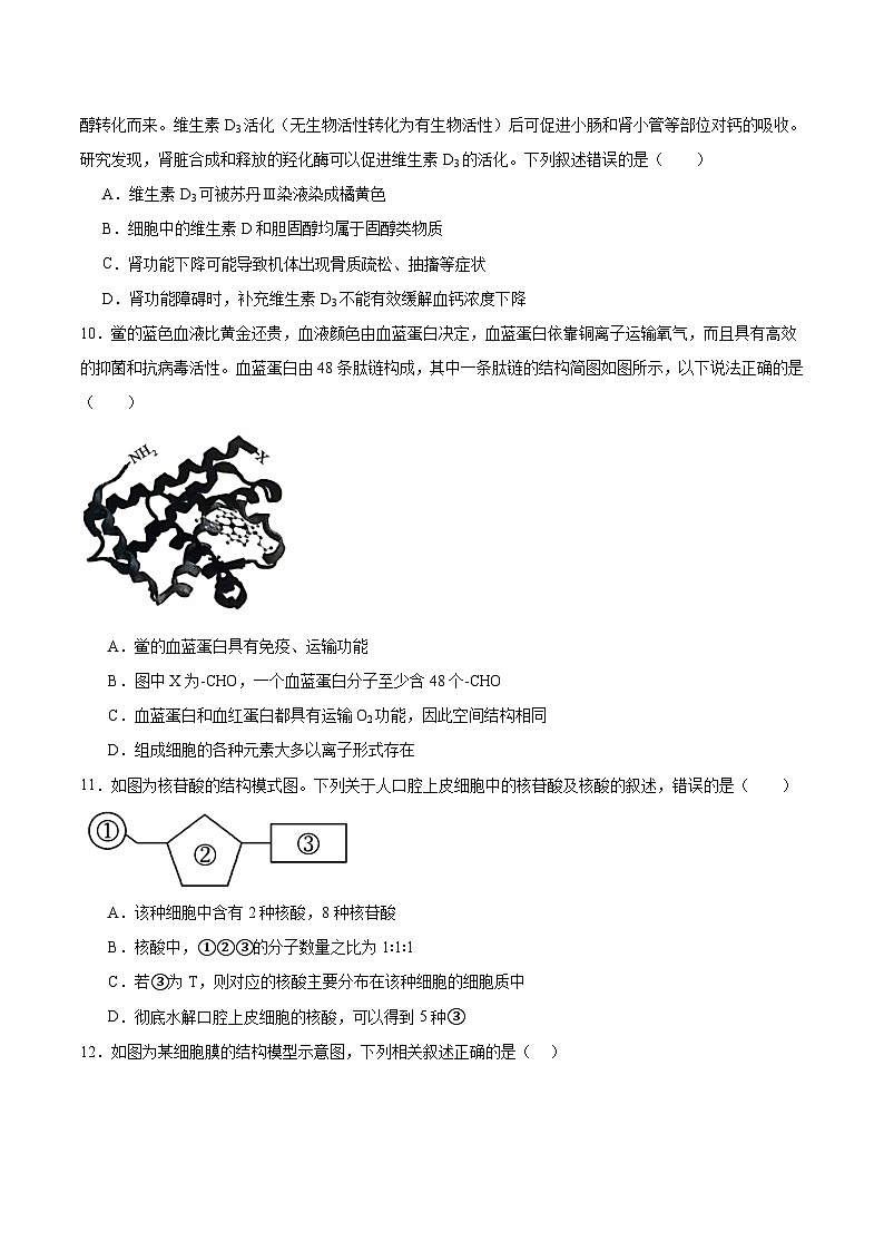 辽宁省点石联考2025-2026学年高一上学期11月期中测试生物试题（Word版附答案）第3页