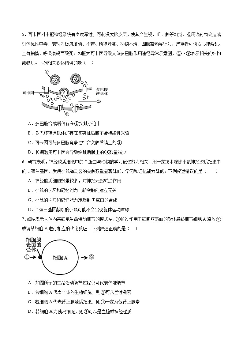 辽宁省锦州市省重点高中2025-2026学年高二上学期期中考试生物试题（Word版附答案）第2页