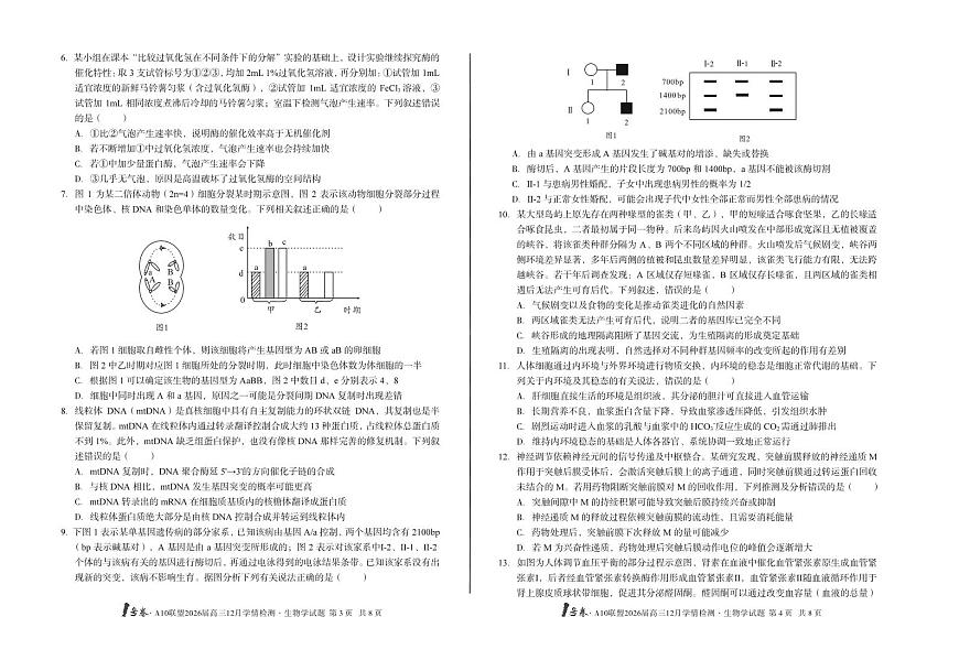 （A卷）1号卷·A10联盟2026届高三12月学情检测生物学第2页
