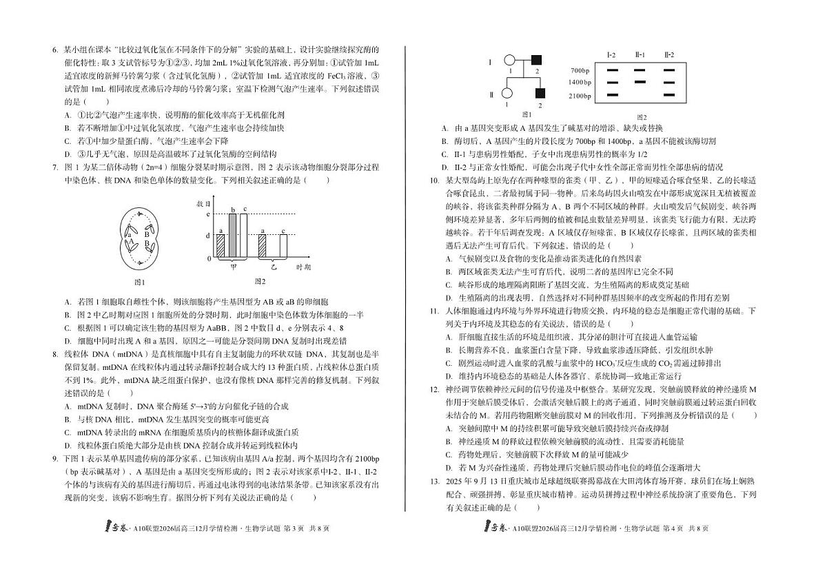 （B卷）1号卷·A10联盟2026届高三12月学情检测生物学b第2页