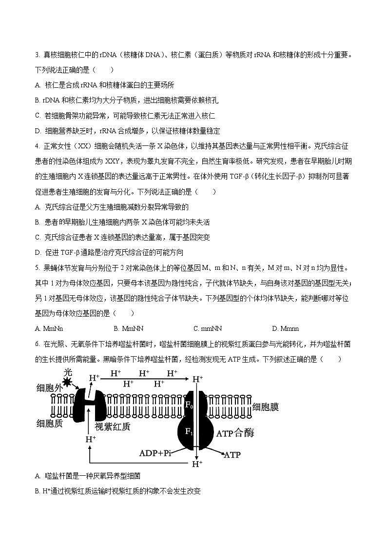 湖北省云学联盟2026届高三上学期12月考试 生物试卷第2页