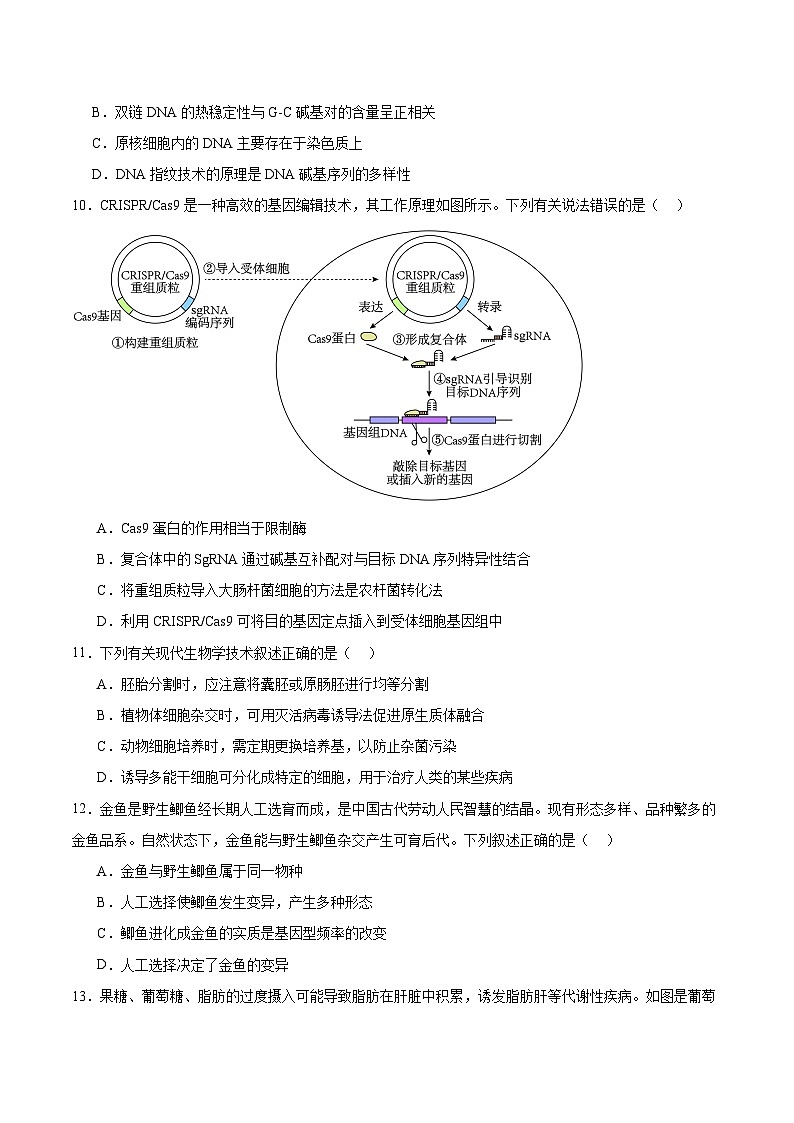 广东省汕尾市2026届高三上学期综合测试（一）生物试卷第3页
