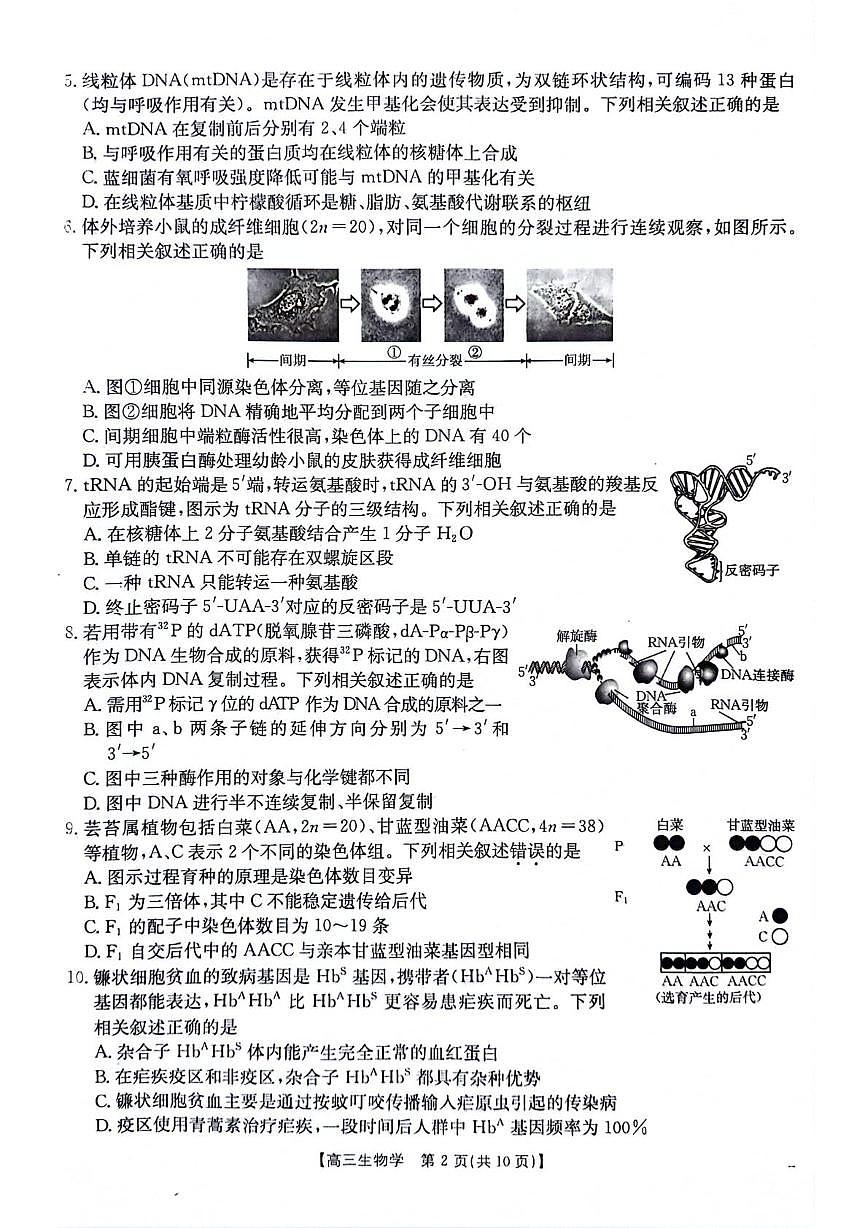 江苏省百校2026届高三上学期12月联考 生物试卷（PDF图片版）（含答案）第2页