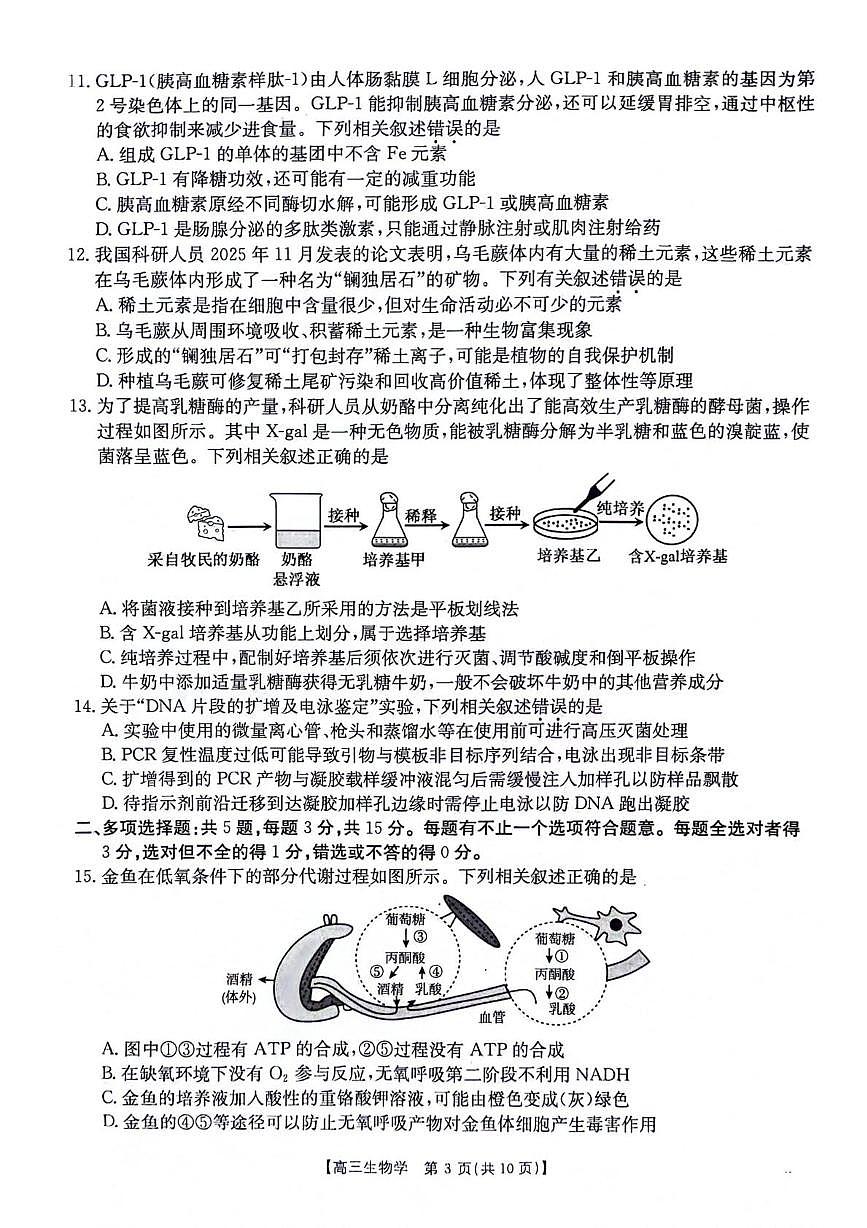 江苏省百校2026届高三上学期12月联考 生物试卷（PDF图片版）（含答案）第3页