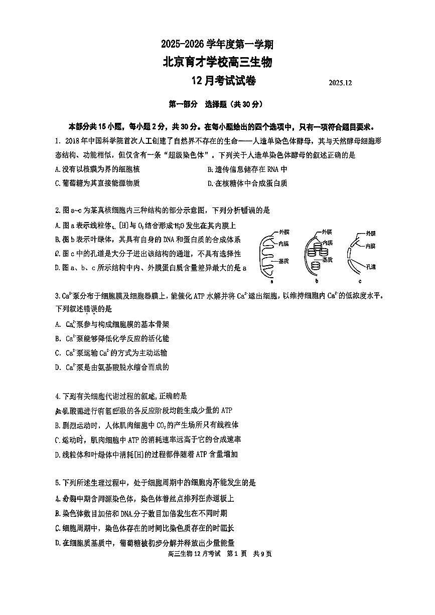 2025北京育才学校高三上12月月考生物试卷第1页