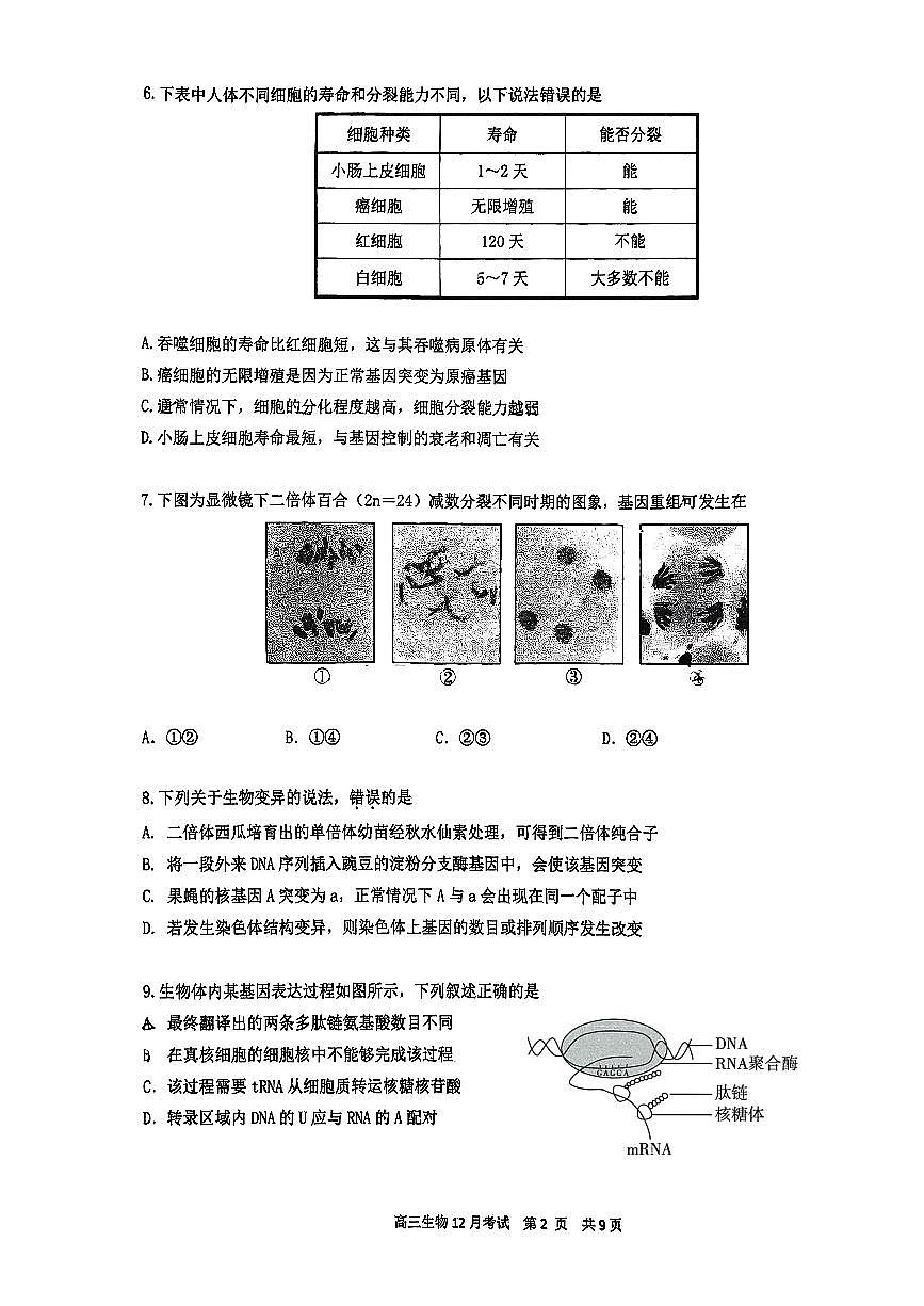 2025北京育才学校高三上12月月考生物试卷第2页