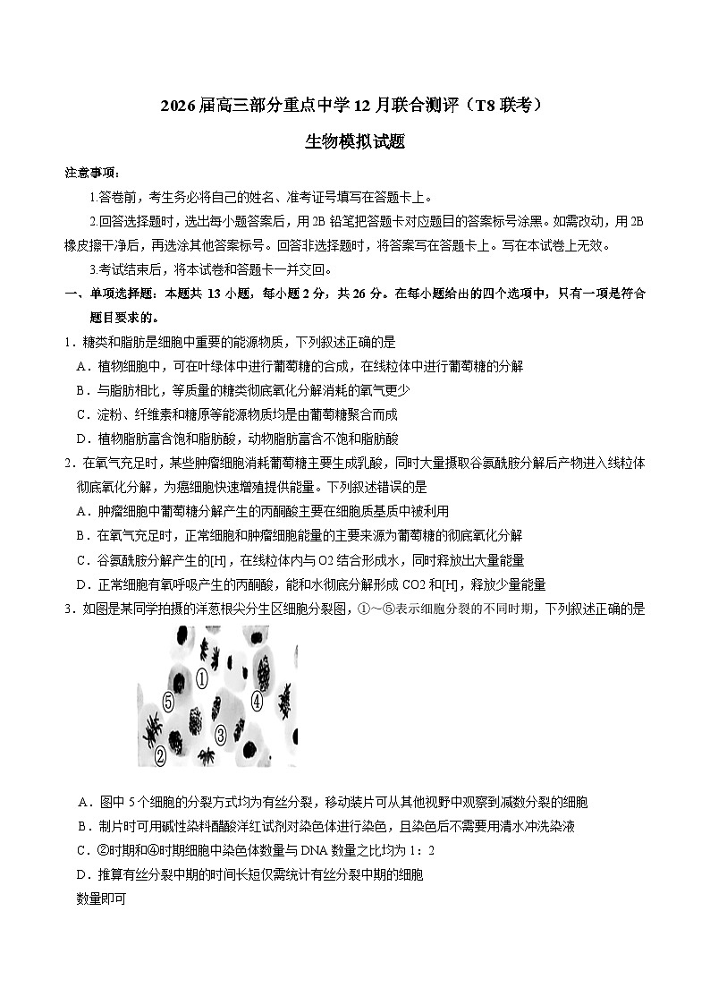 河北省部分重点中学2026届高三上学期12月联合测评（T8联考）生物试卷（含答案）第1页