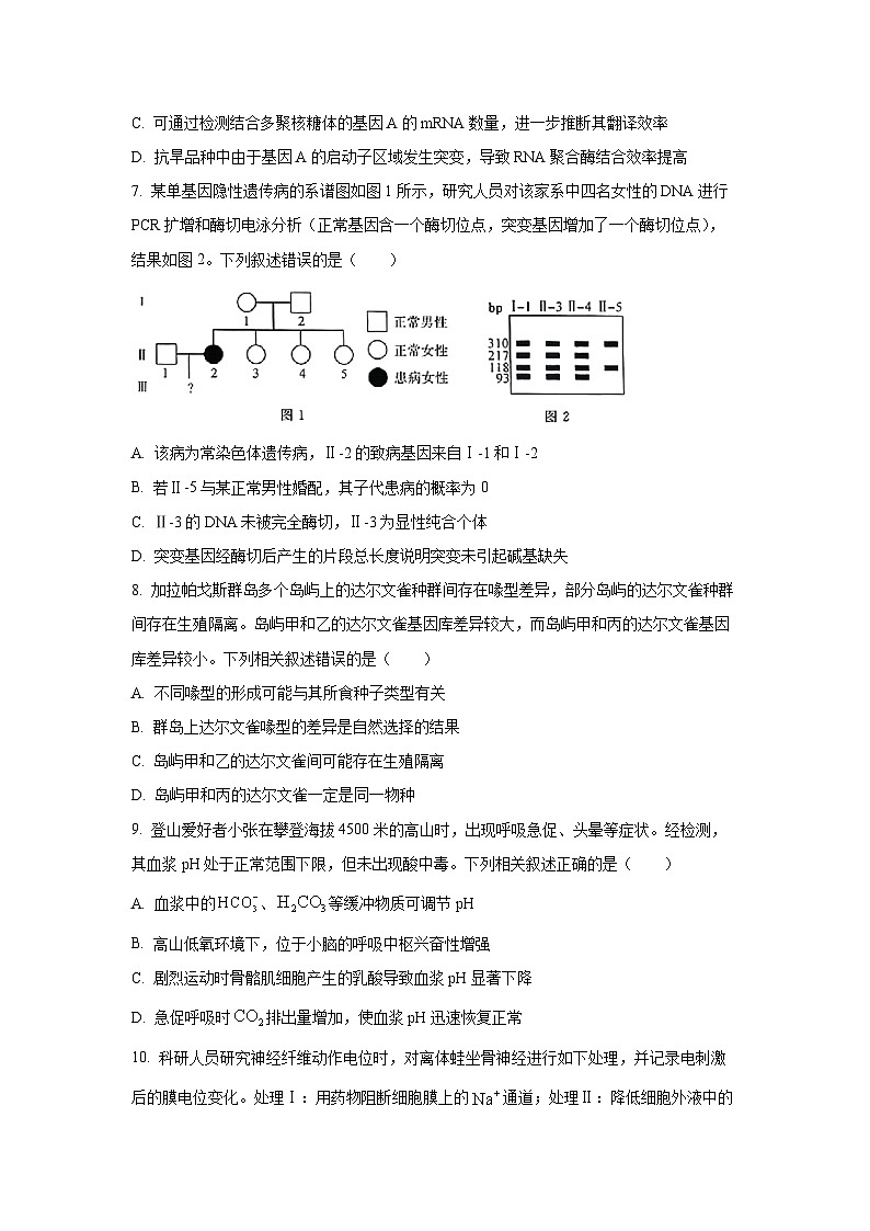 河南省顶尖计划2025-2026学年高三上学期12月月考生物试卷（学生版）第3页