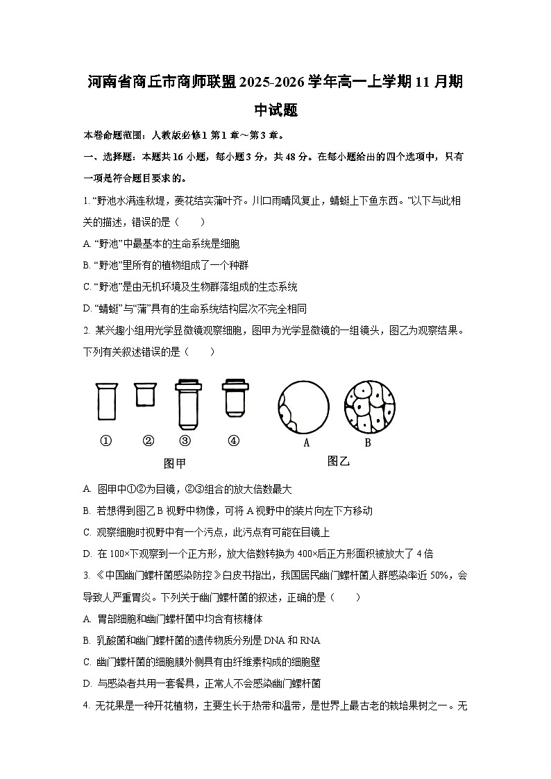 河南省商丘市商师联盟2025-2026学年高一上学期11月期中生物试卷（学生版）第1页