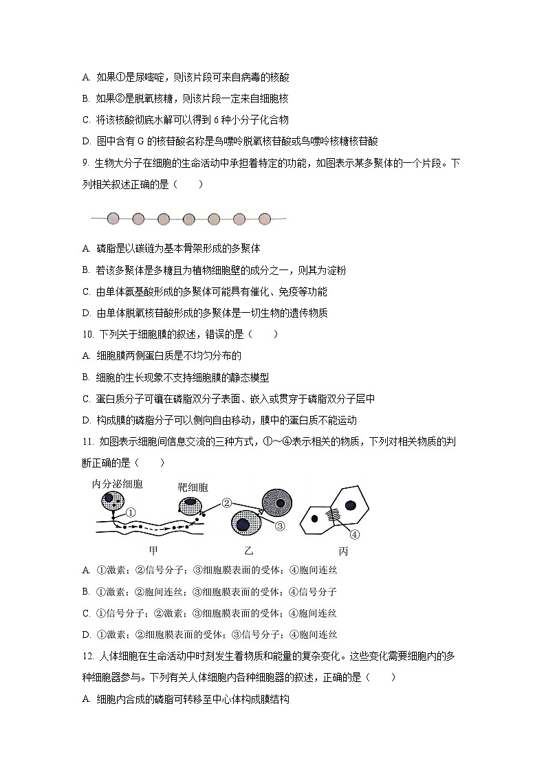 河南省商丘市商师联盟2025-2026学年高一上学期11月期中生物试卷（学生版）第3页