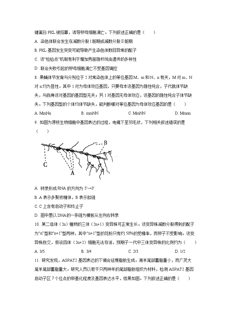 河南省新乡市2025—2026学年高三上学期质量监测生物试卷（学生版）第3页