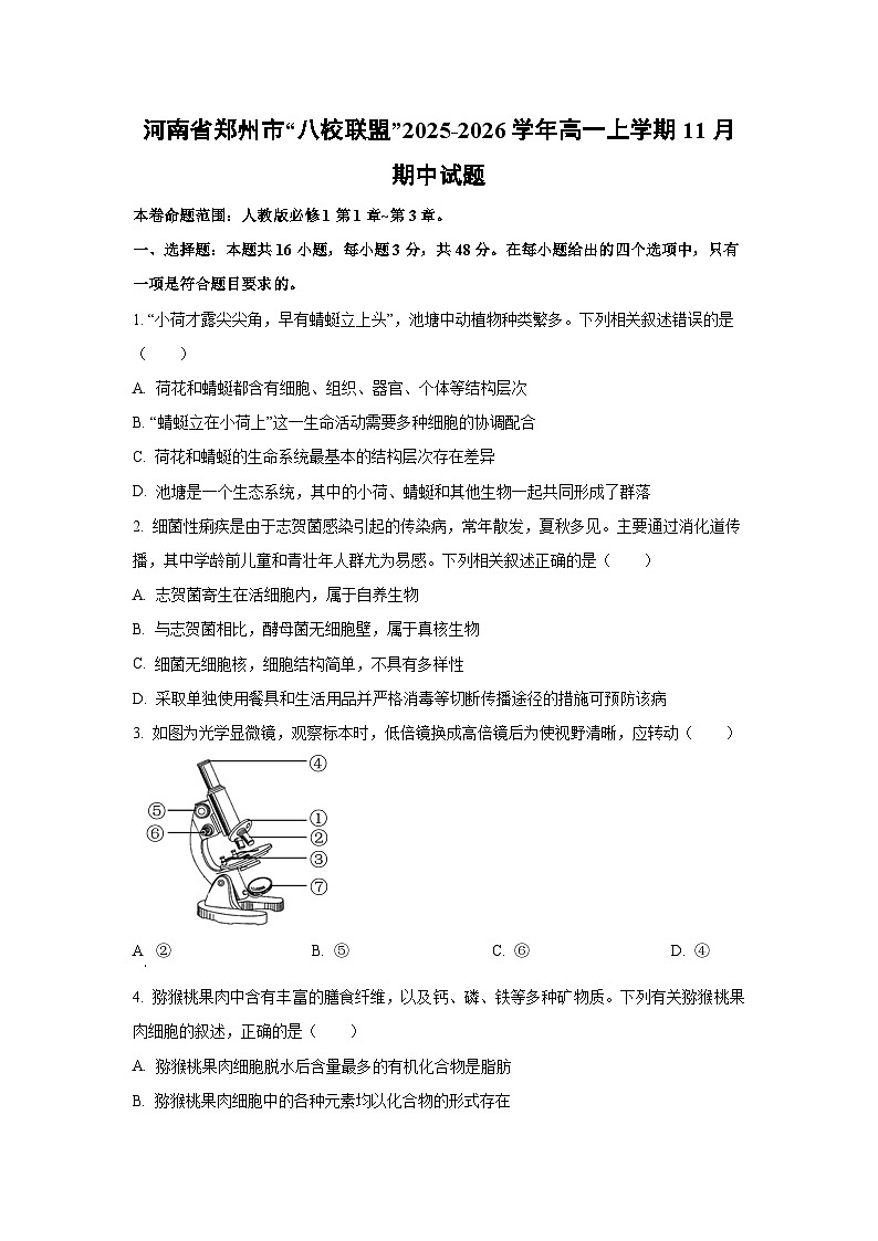 河南省郑州市“八校联盟”2025-2026学年高一上学期11月期中生物试卷（学生版）第1页
