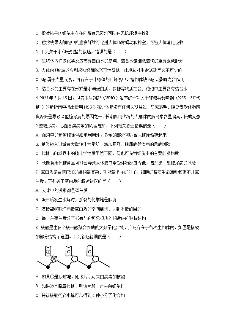 河南省郑州市“八校联盟”2025-2026学年高一上学期11月期中生物试卷（学生版）第2页