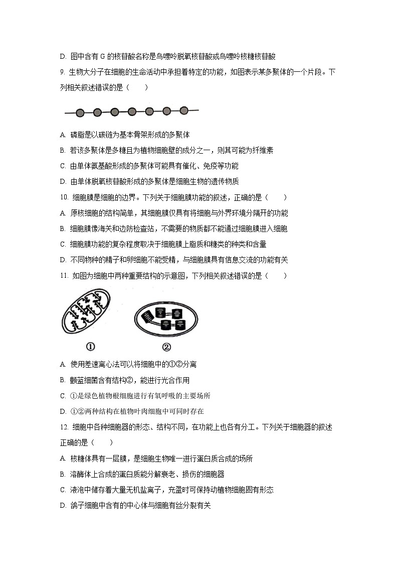 河南省郑州市“八校联盟”2025-2026学年高一上学期11月期中生物试卷（学生版）第3页