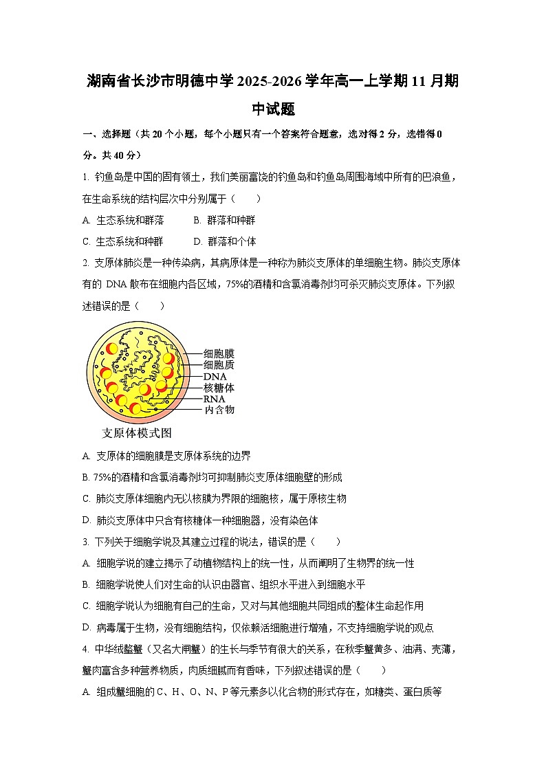 湖南省长沙市明德中学2025-2026学年高一上学期11月期中生物试卷（学生版）第1页
