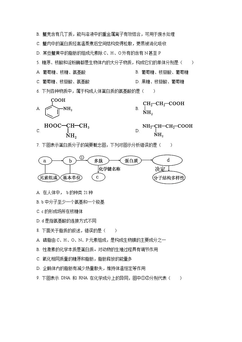 湖南省长沙市明德中学2025-2026学年高一上学期11月期中生物试卷（学生版）第2页