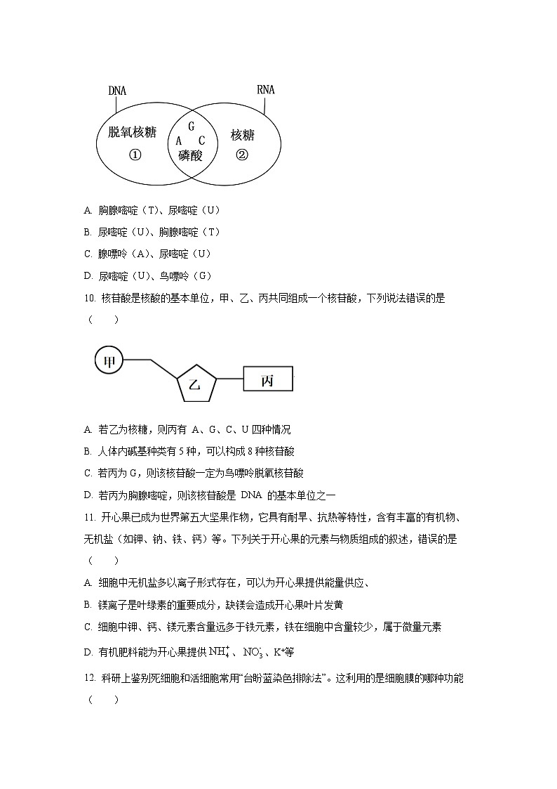 湖南省长沙市明德中学2025-2026学年高一上学期11月期中生物试卷（学生版）第3页