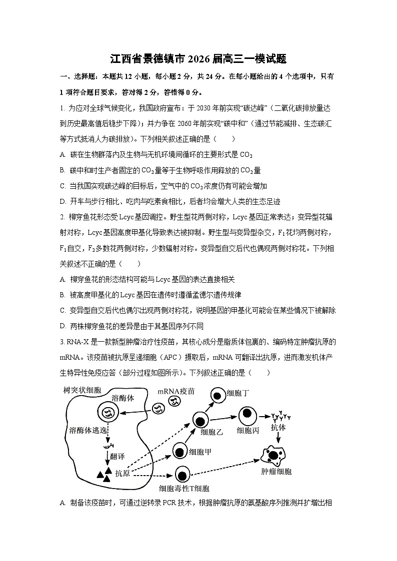 江西省景德镇市2026届高三一模生物试卷（学生版）第1页