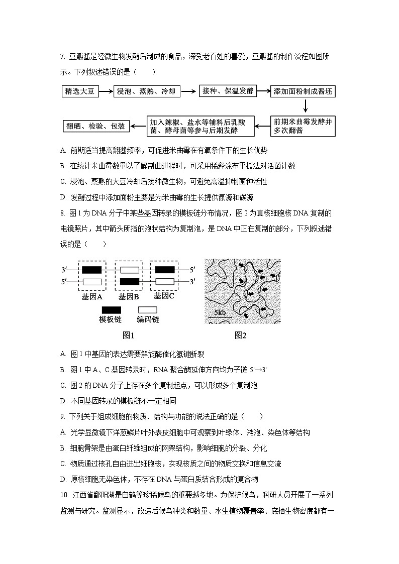 江西省景德镇市2026届高三一模生物试卷（学生版）第3页
