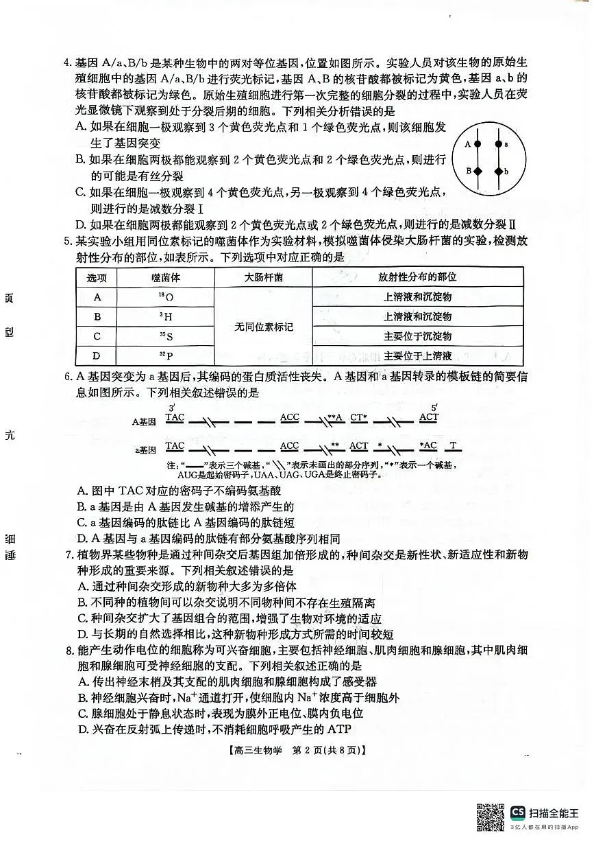 河北省2026届高三上学期12月联考生物第2页