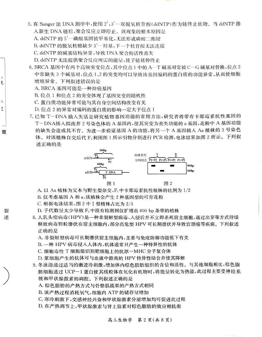 江苏省南通市基地学校联考2025-2026学年高三上学期12月月考生物试题第2页