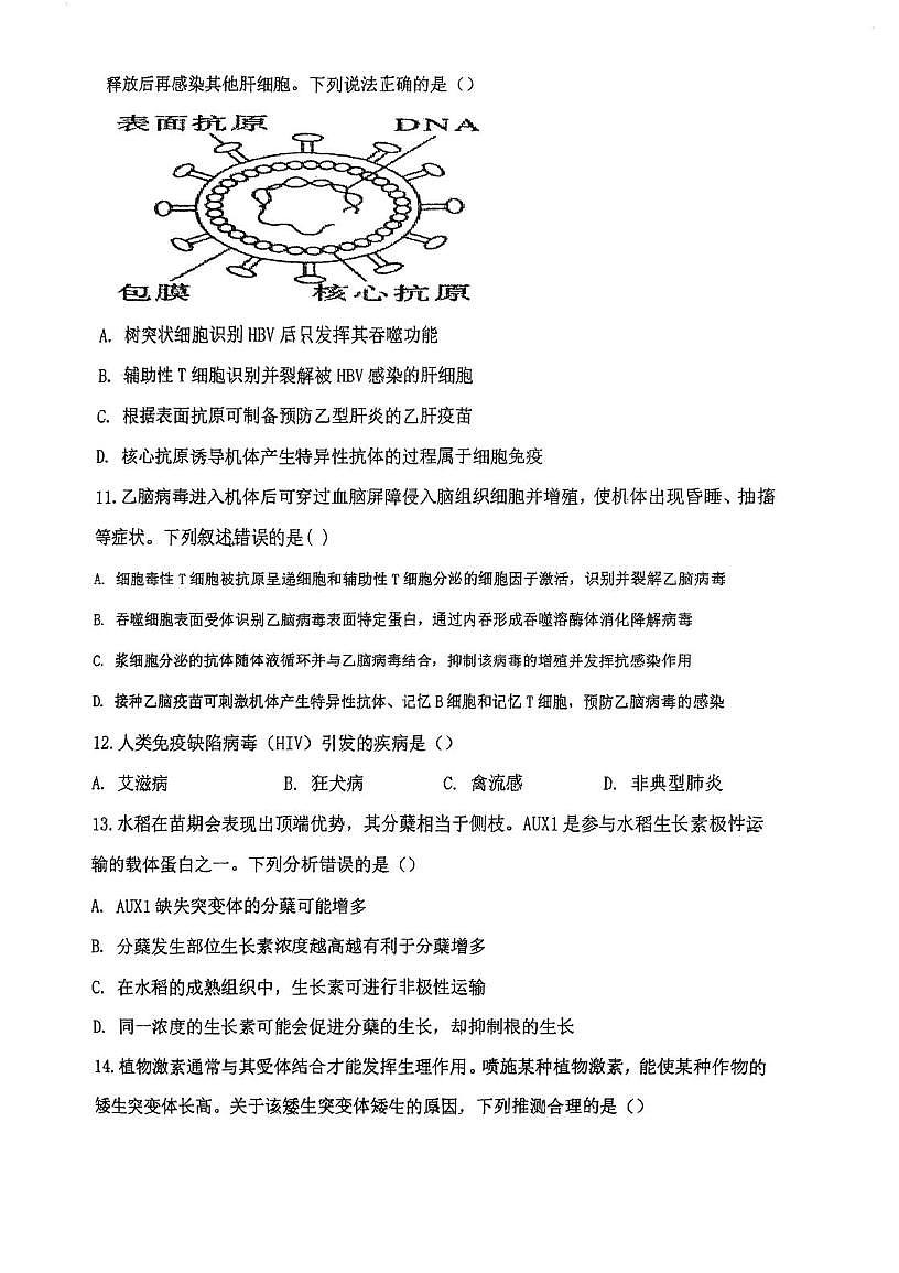 天津市西青区张家窝中学2025-2026学年高二上学期第二次月考生物试卷第3页