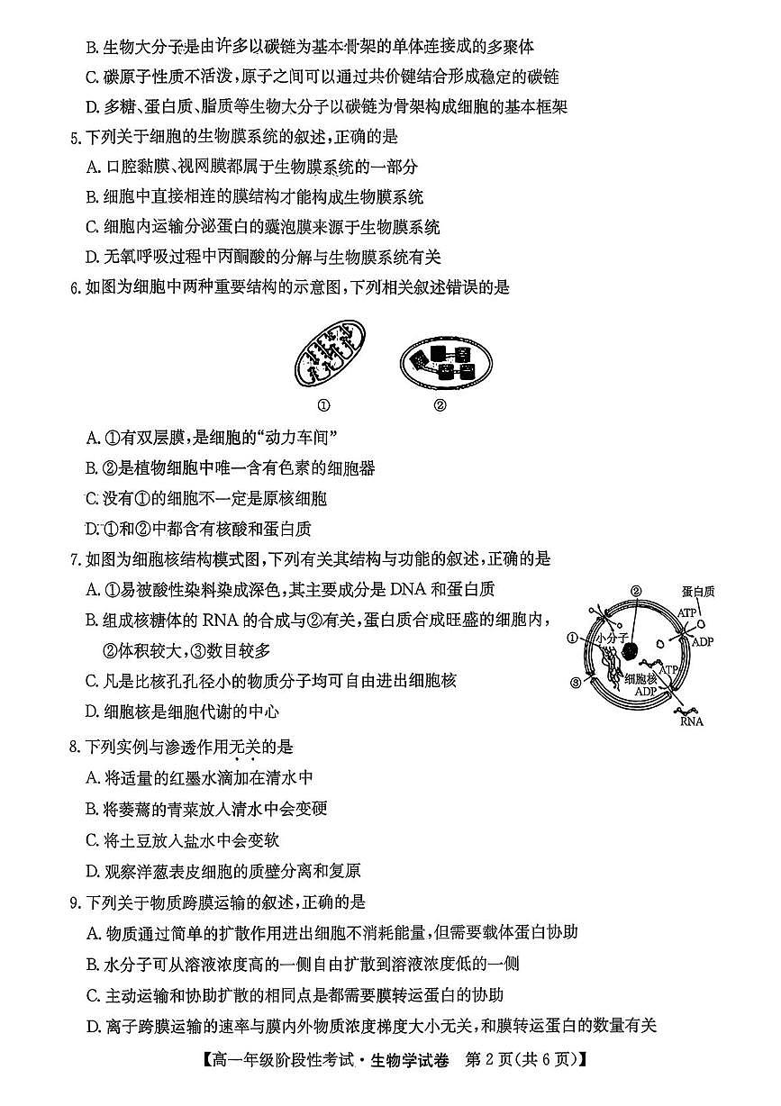陕西省商洛市镇安中学2025-2026学年高一上学期12月月考生物试卷第2页