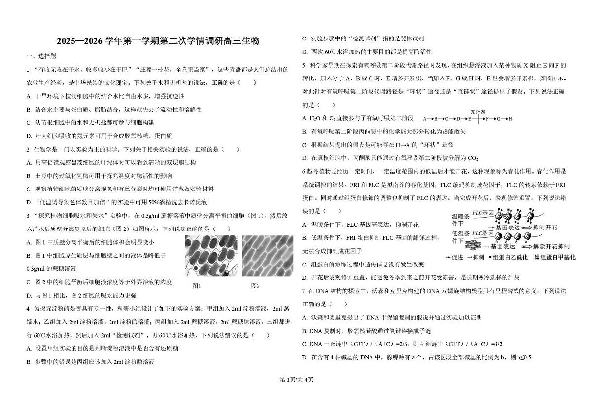 天津市蓟州区第一中学2025-2026学年高三上学期12月月考生物试题第1页