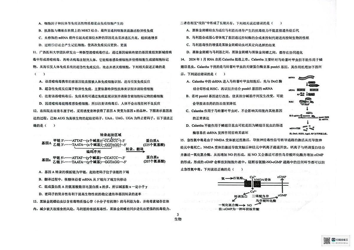 重庆市江北区重庆市第十八中学2025-2026学年高二上学期12月月考生物试题第3页