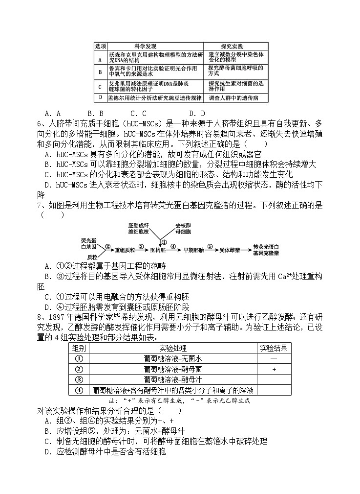 2026陕西师大附中高三上学期期中考试生物含答案第2页