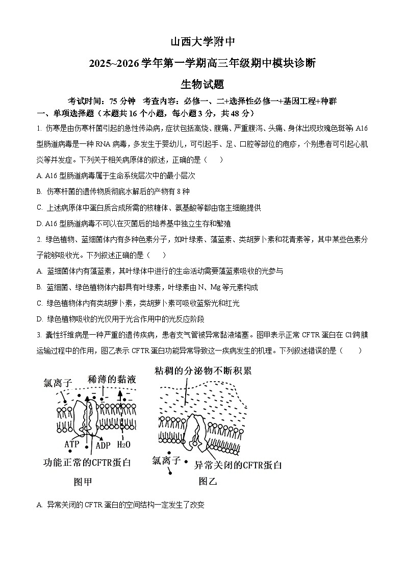 2026山西大学附中高三上学期11月期中考试生物含解析第1页
