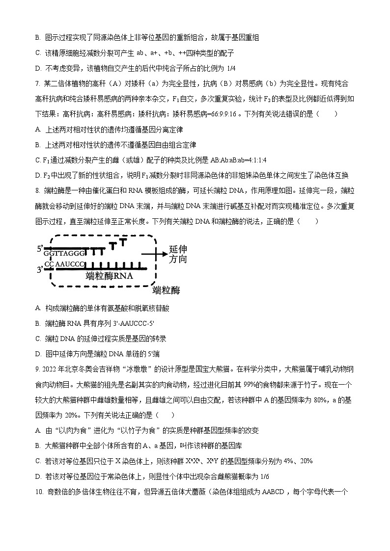 2026山西大学附中高三上学期11月期中考试生物含解析第3页