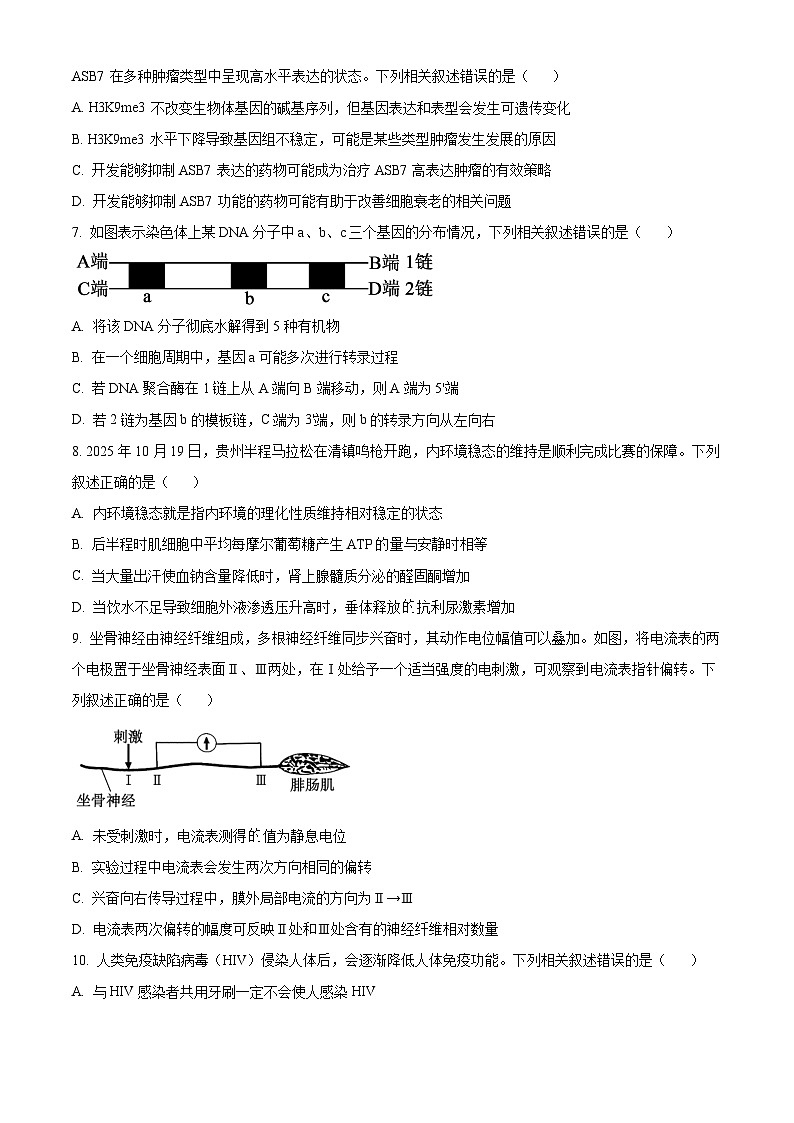 2026贵阳一中高三上学期11月期中考试生物含解析第3页