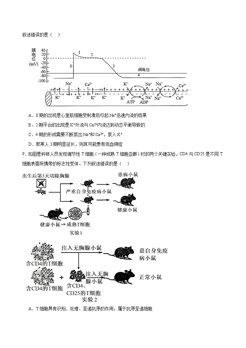 河南省TOP二十名校2026届高三上学期12月调研考试二生物试卷（Word版附答案）第3页