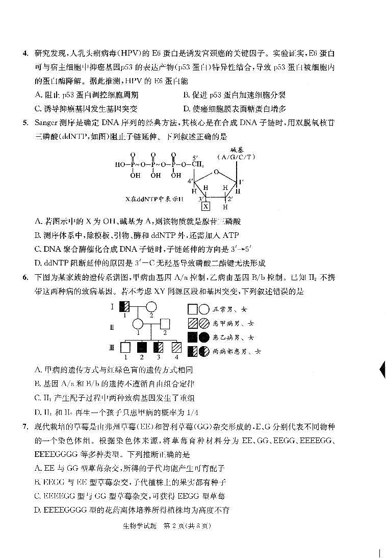 四川省成都市2026届高三上学期第一次诊断性检测（一诊）生物试题+答案第2页