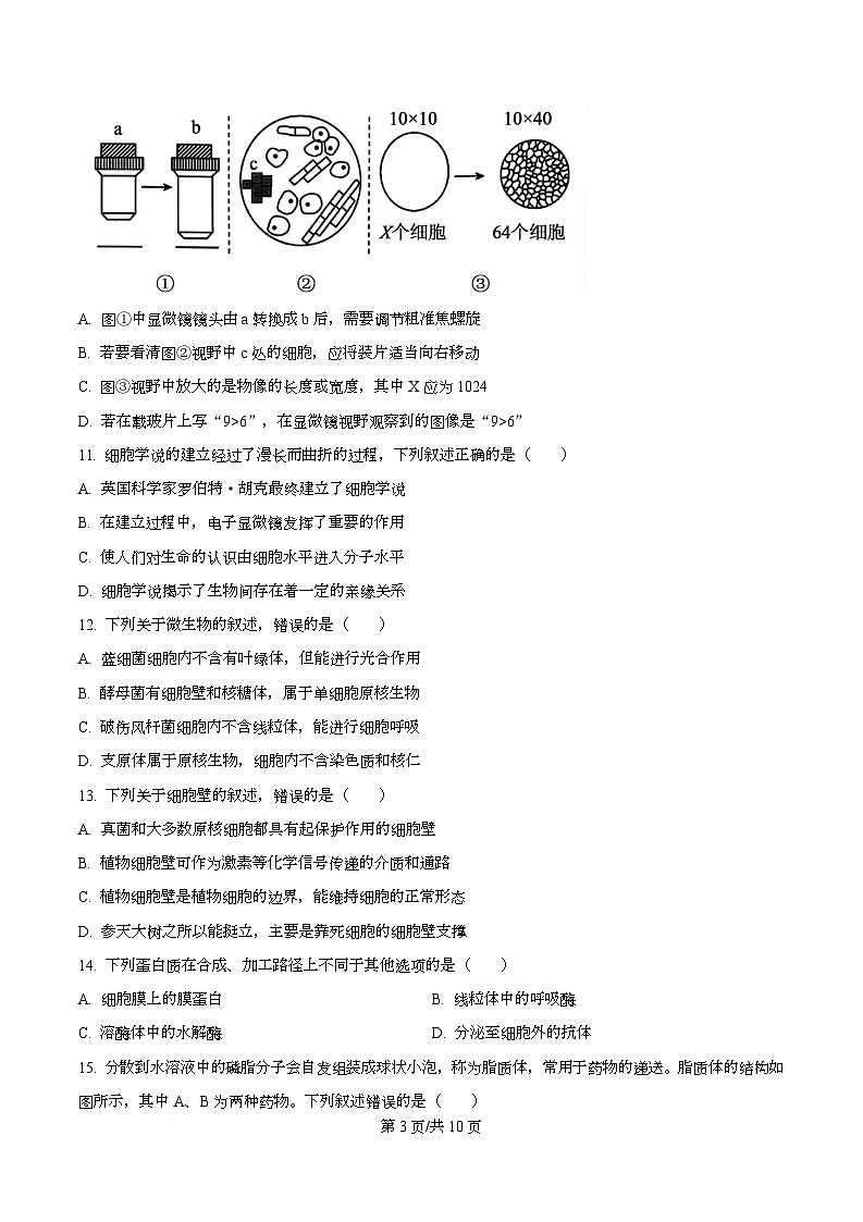 浙江省钱塘联盟2025-2026学年高一上学期11月期中生物试题（原卷版）第3页