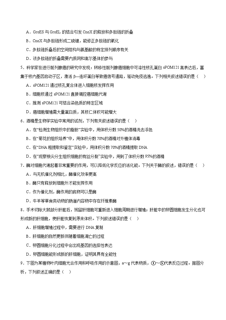 山西省大同市2026届高三上学期第二次学情调研 生物试卷(含答案）第2页