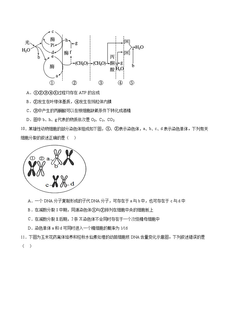 山西省大同市2026届高三上学期第二次学情调研 生物试卷(含答案）第3页