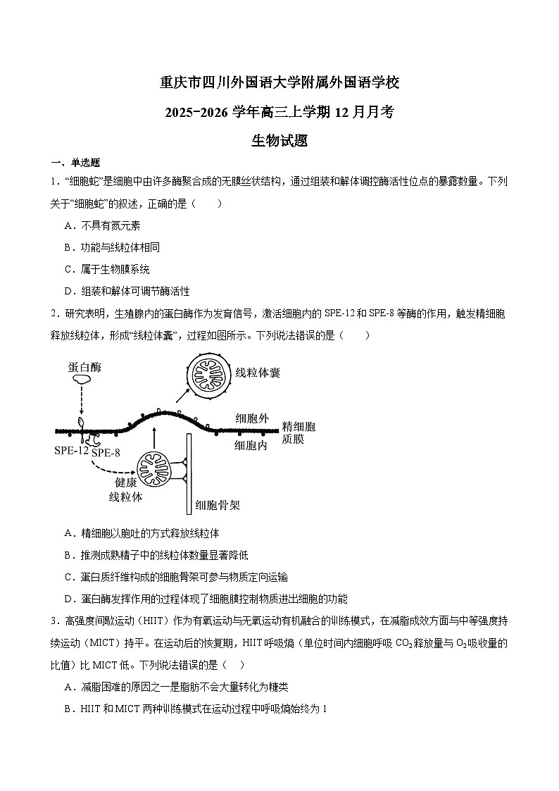重庆市四川外国语大学附属外国语学校2026届高三上学期12月月考 生物试卷(含答案）第1页