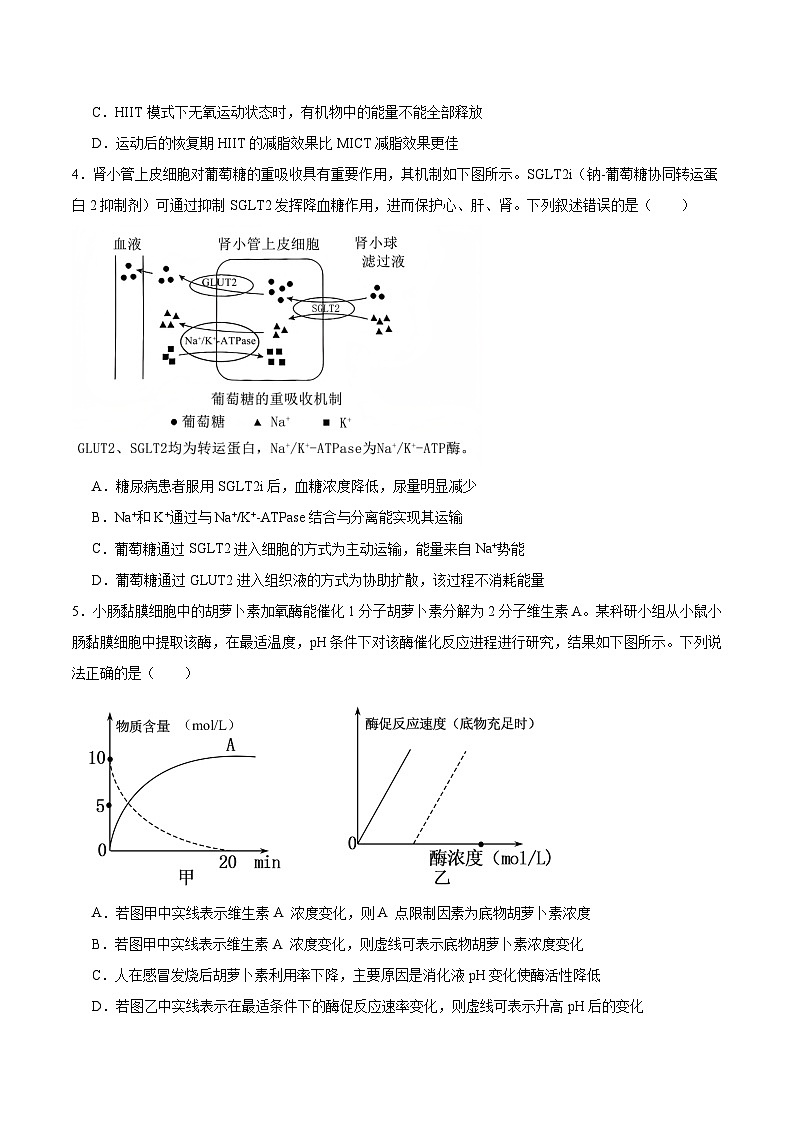 重庆市四川外国语大学附属外国语学校2026届高三上学期12月月考 生物试卷(含答案）第2页