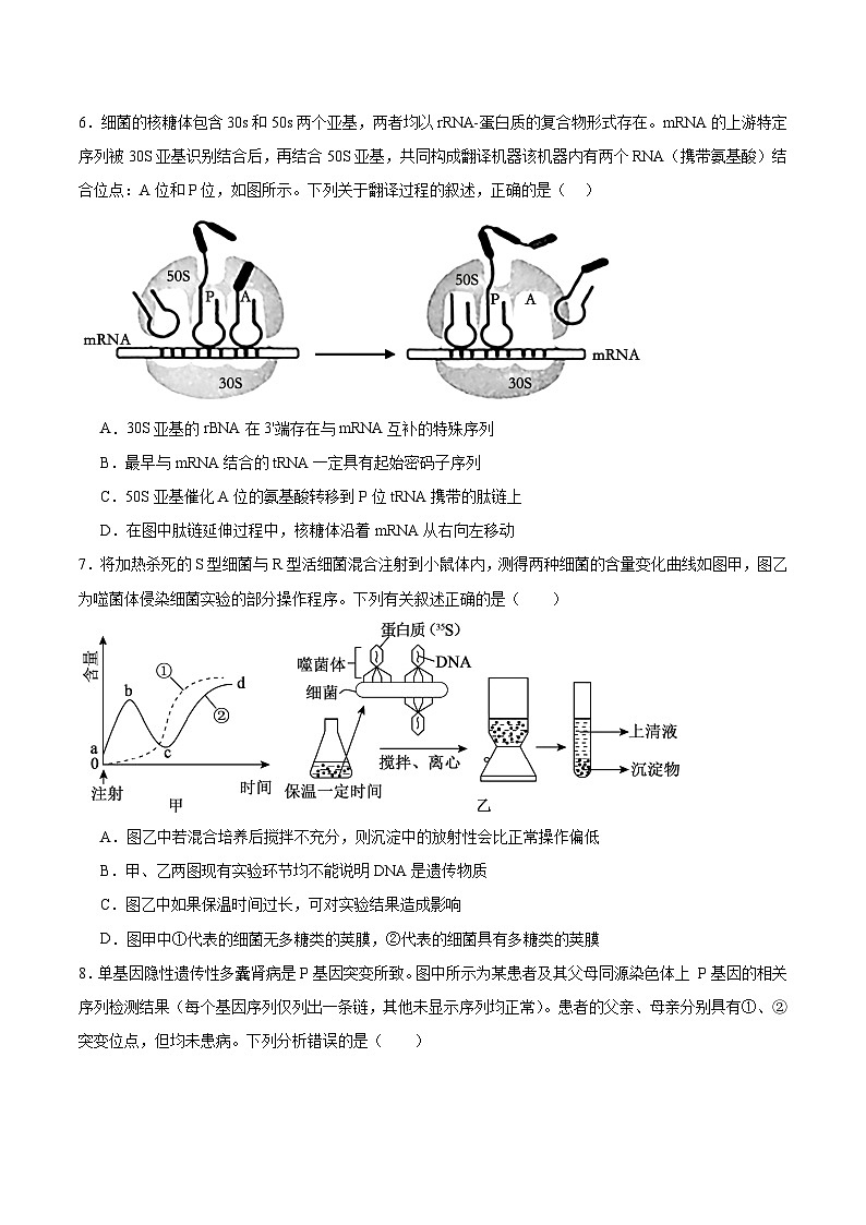 重庆市四川外国语大学附属外国语学校2026届高三上学期12月月考 生物试卷(含答案）第3页