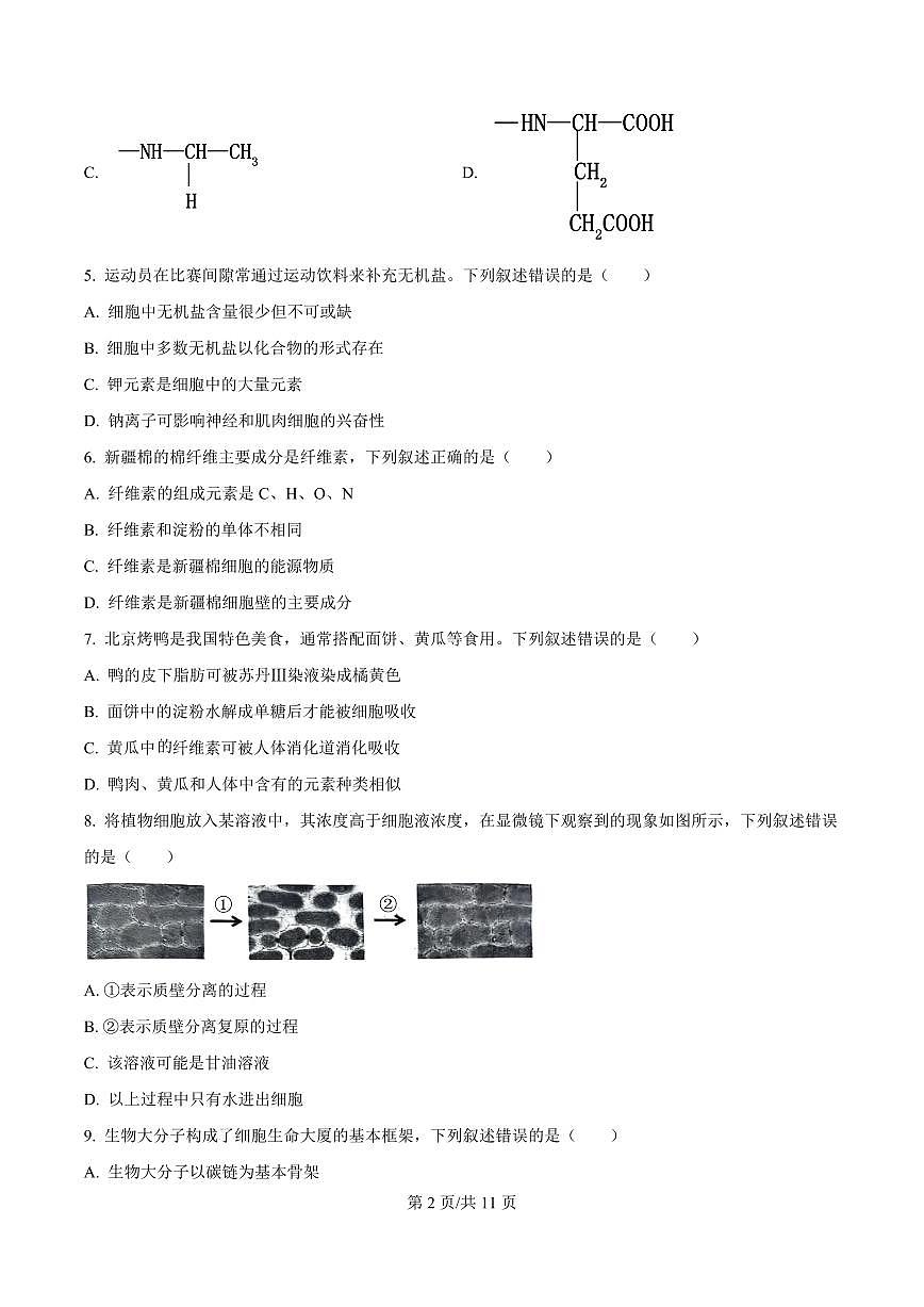 辽宁省大连市2024-2025学年第一学期高一生物学期末试卷（含答案及解析）第2页