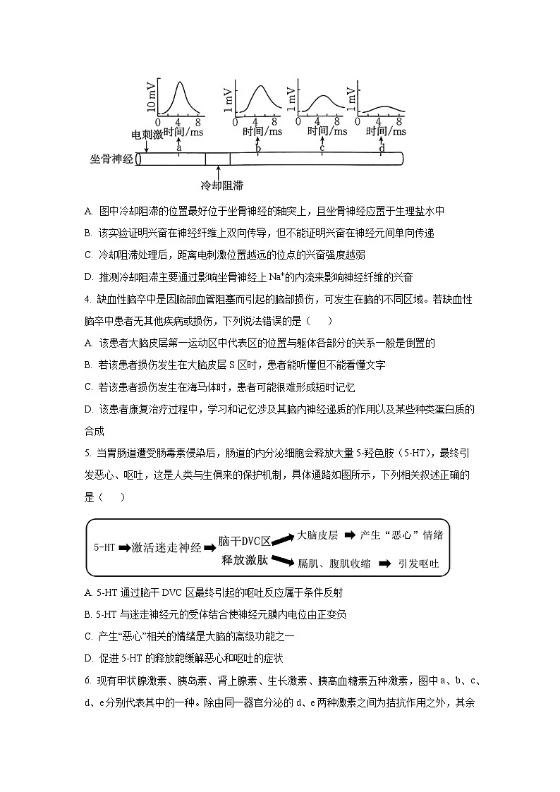 广东省佛山市S6高质量发展联盟2025-2026学年高二上学期期中联考生物试卷（学生版）第2页