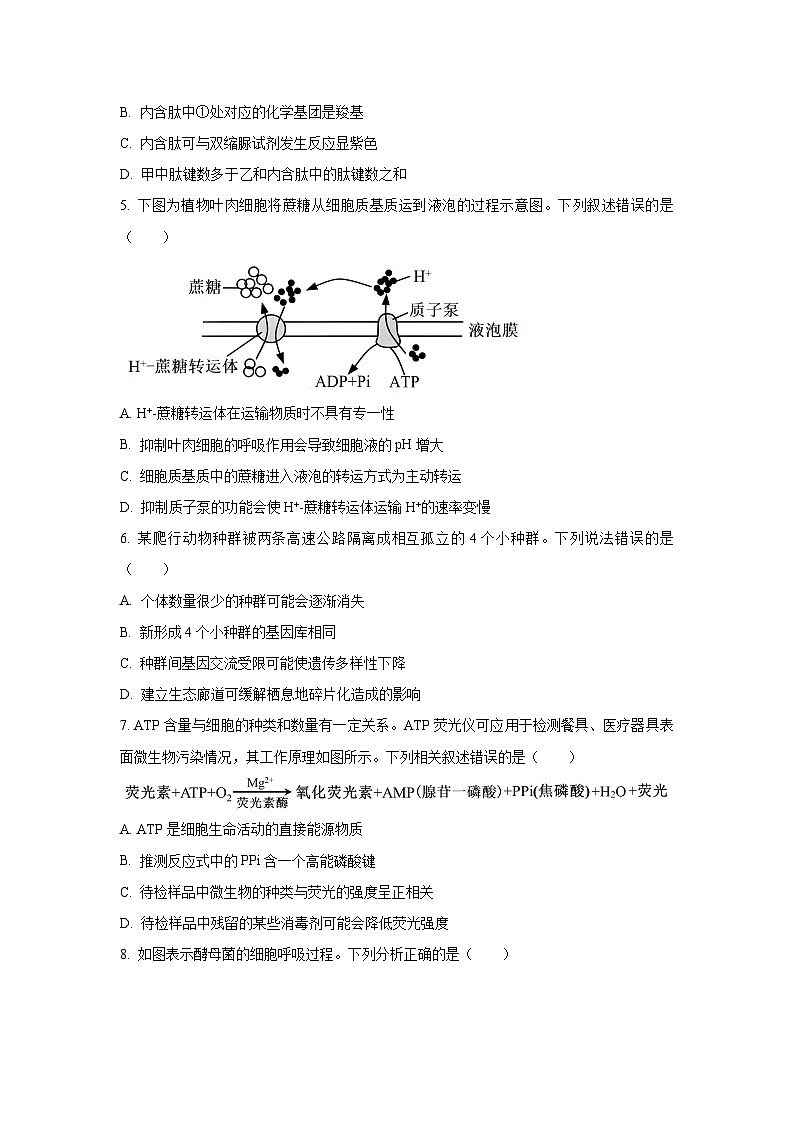 浙江省丽水市发展共同体2025-2026学年高二上学期11月期中生物试卷（学生版）第2页