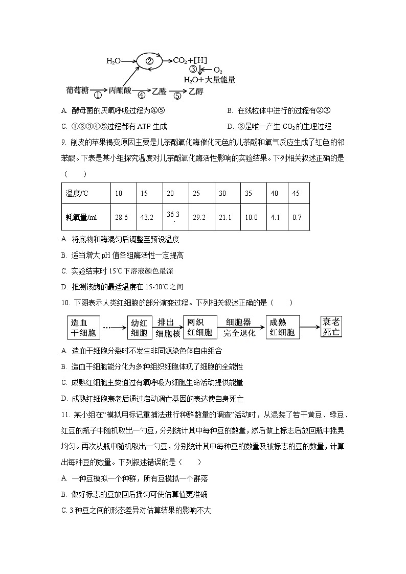浙江省丽水市发展共同体2025-2026学年高二上学期11月期中生物试卷（学生版）第3页