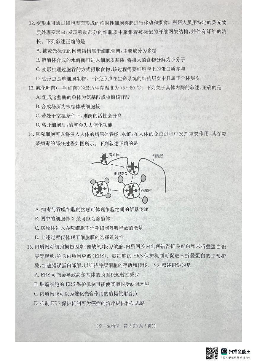 桂林、贵港2025-12月联考高一生物试卷第3页